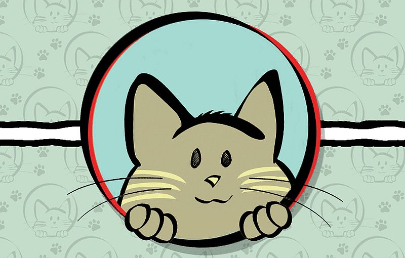 REVIEW: Cat Lady for iOS 1 Cat Lady