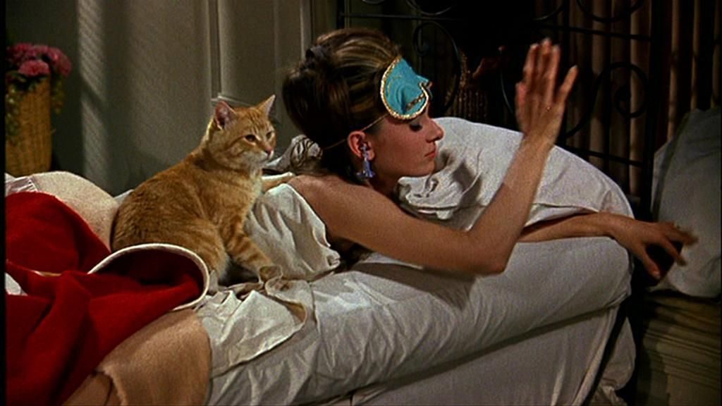 Top 10 Cats in Cinema
