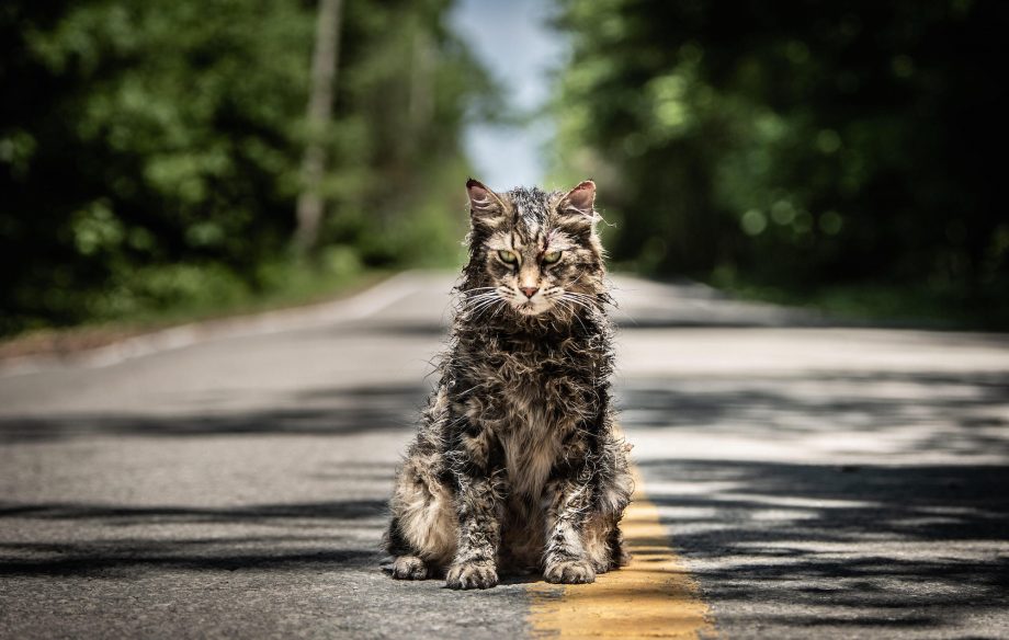 Top 10 Cats in Cinema