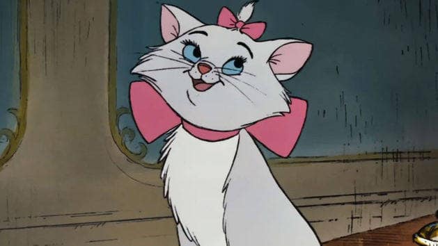 Top 10 Cats in Cinema