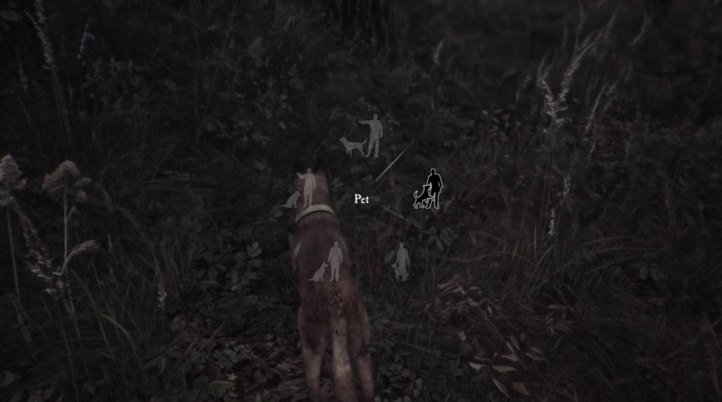 Blair Witch