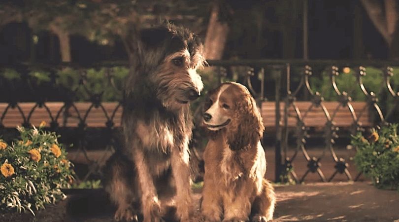 REVIEW: 'Lady And The Tramp' Is Wholly Relatable Even if It's a Bit Long 1 Lady And The Tramp