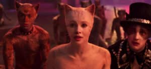 CATS