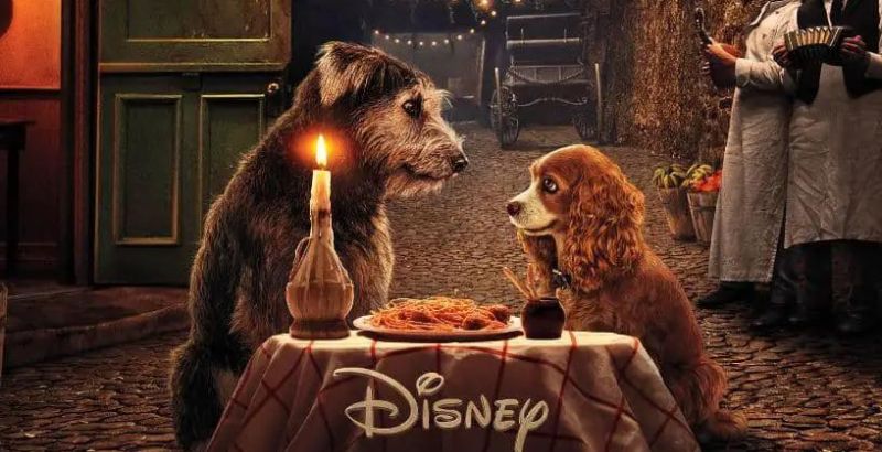 REVIEW: 'Lady and the Tramp' Junior Novel 1 Lady and the Tramp