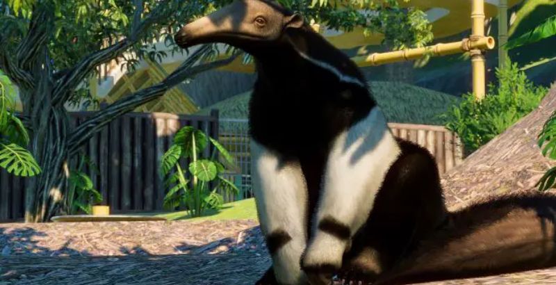 The Planet Zoo: South America Pack Available Now 1 Planet Zoo: South America