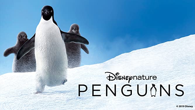 7 Documentaries to Watch on Disney+ 2 Disney Plus Documentaries - Disneynature Penguins