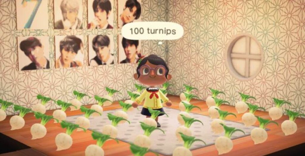 Animal Crossing New Horizons 