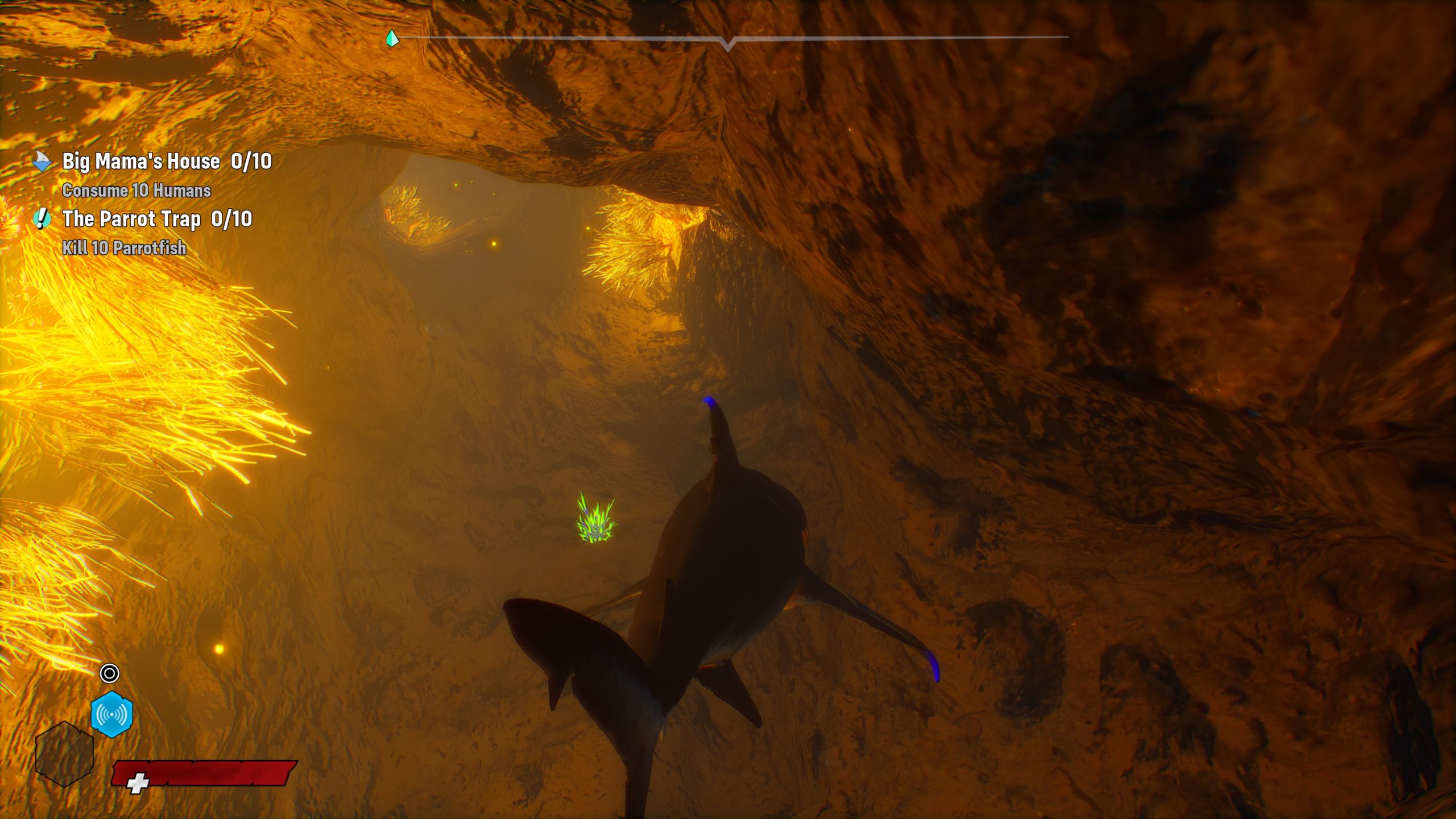 Maneater's exploration