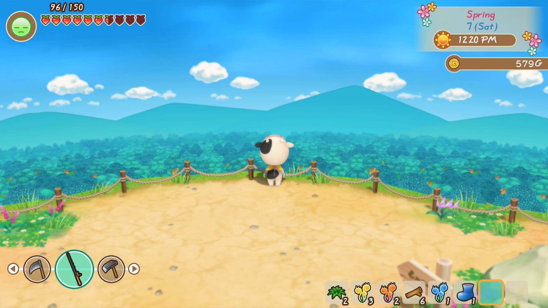 Story of Seasons' environment