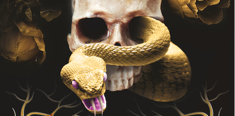 ADVANCED REVIEW: 'Kingdom of the Wicked' 1 A golden snake curls through a human skull.