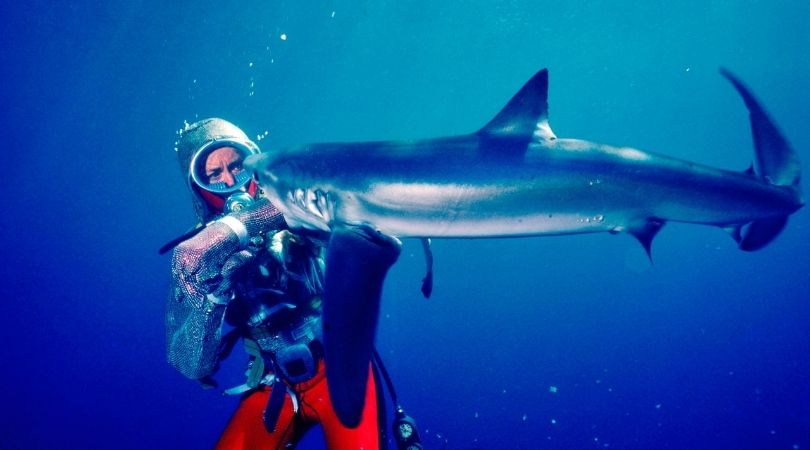 SUNDANCE 2021: 'Playing With Sharks' 1 Playing With Sharks