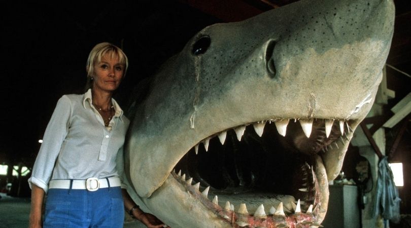 Playing With Sharks