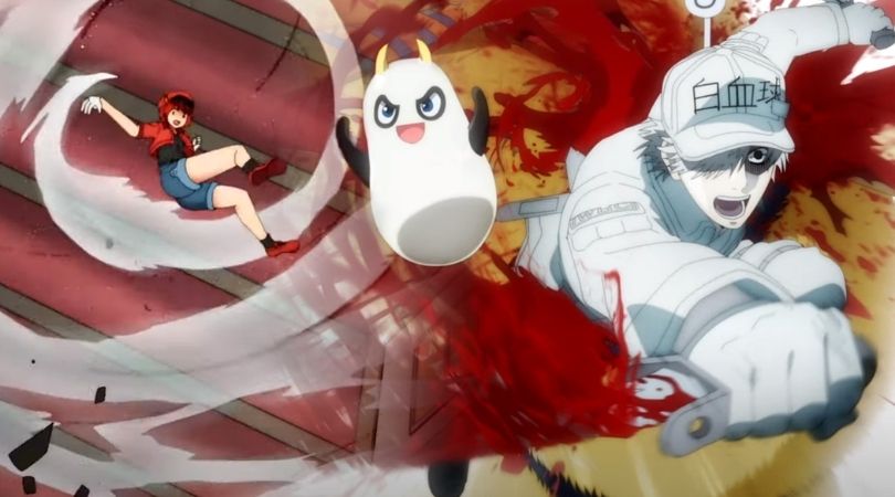 REVIEW: They’re Still Working, And Still Adorable in ‘Cells at Work’ Season 2 1 Cells at Work Season 2