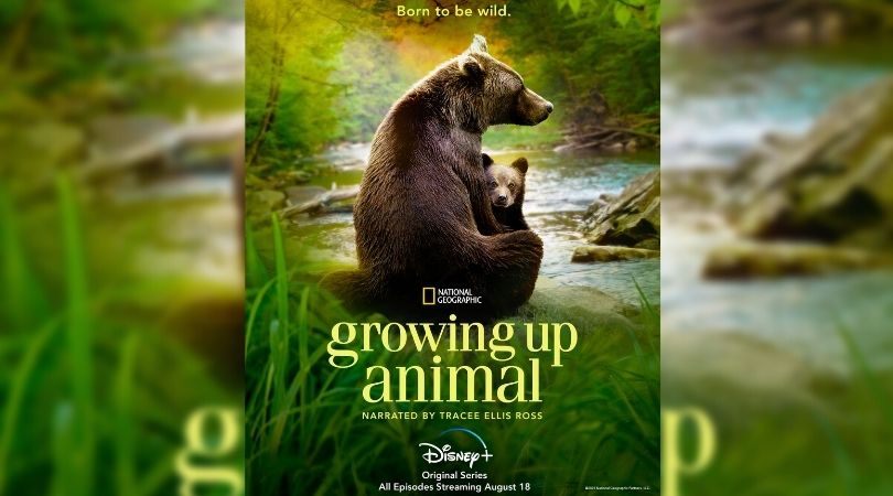 Official Trailer and Key Art For Growing Up Animal On Disney+ Available Now 1 Growing Up Animal