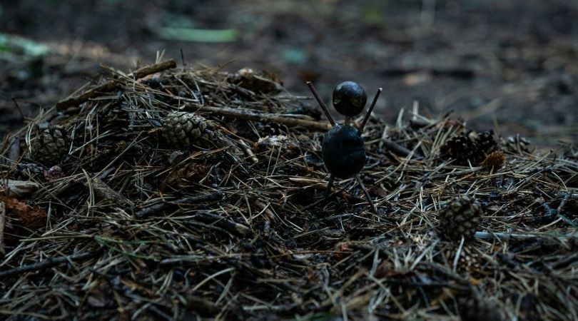 REVIEW: ‘The Chestnut Man’ Season 1 is a Top Tier Psychological Thriller 1 Chestnut Man - But Why Tho