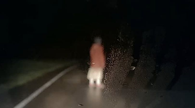 TIFF 2020: 'DASHCAM' is Chaotic Cringe 1 DASHCAM - But Why Tho
