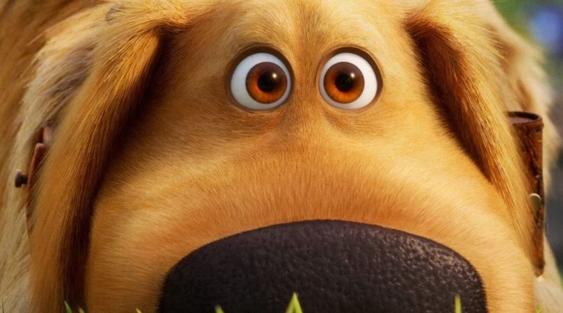 REVIEW: 'Dug Days' Is a Perfect Tribute to Ed Asner 1 Dug Days - But Why Tho