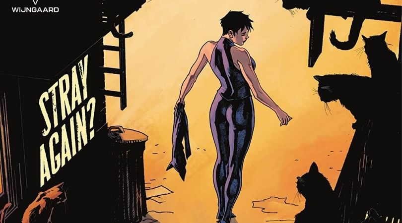 REVIEW: 'Catwoman,' Issue #38 1 Catwoman #38 - But Why Tho