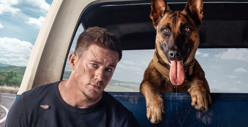 REVIEW: 'Dog' Pairs Channing Tatum With A Chaotic But Loveable Canine 1 Dog