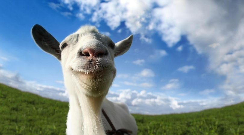 Classic Games on Xbox Game Pass - Goat Simulator - But Why Tho