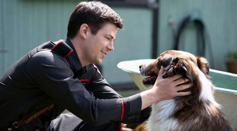 REVIEW: 'Rescued by Ruby' Will Make You Want to Adopt a Dog 1 Rescued by Ruby - But Why Tho