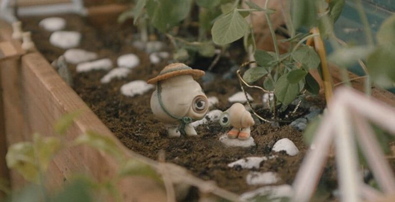 REVIEW: 'Marcel The Shell With Shoes On' Delivers An Animated & Touching Adventure 1 Marcel The Shell With Shoes On