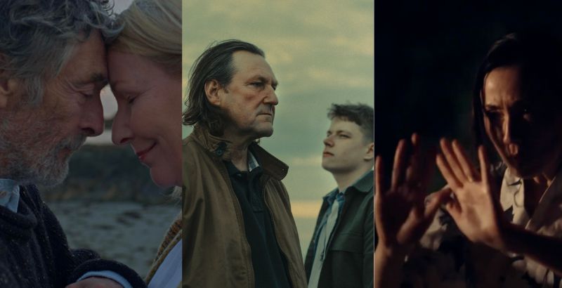 Capital Irish Film Festival Short Films - But Why Tho