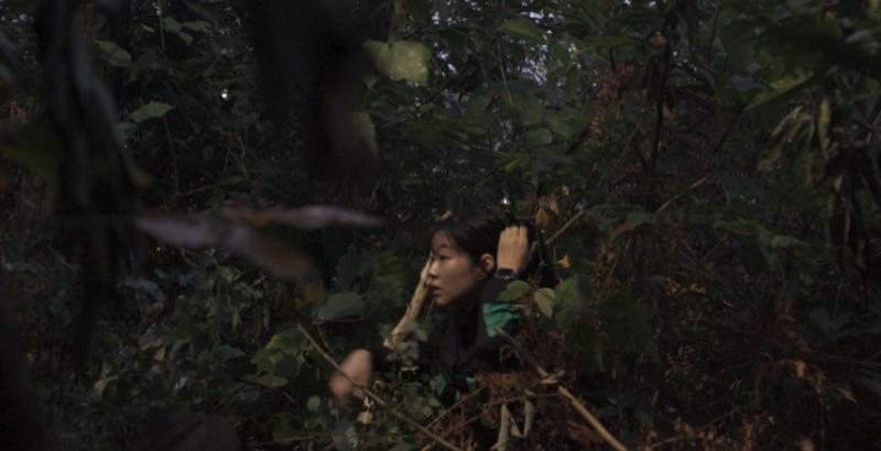 Siren: Survive the Island