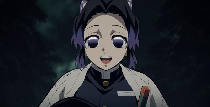 Demon Slayer Hashira But Why Tho