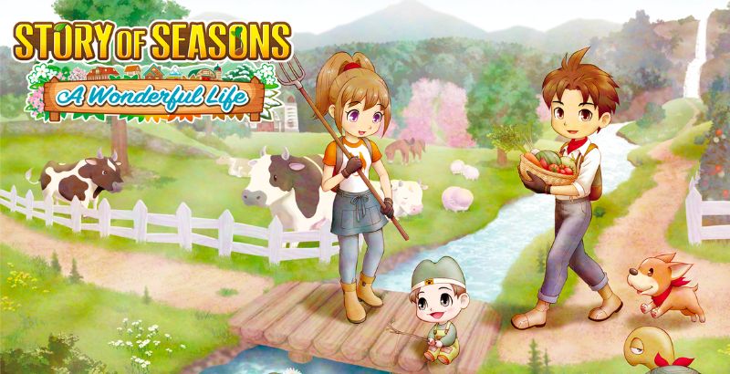 REVIEW: 'Story Of Seasons: A Wonderful Life' Requires A Long, Slow Commitment (Switch) 1 Story of Seasons A Wonderful Life — But Why Tho