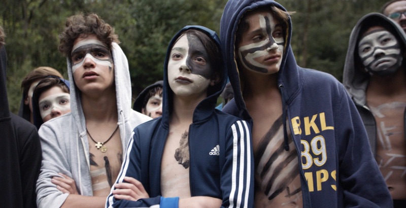 REVIEW: 'The Hole In The Fence' Is Disturbing But Stretched Thin 1 The Hole in the Fence