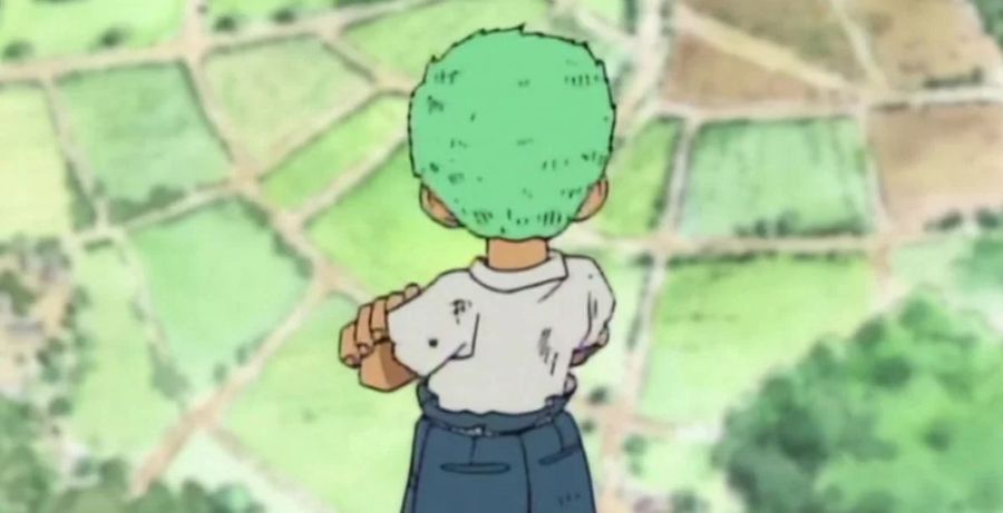 Roronoa Zoro