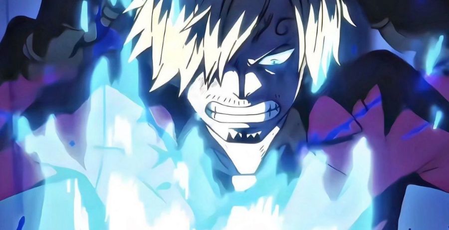 Sanji Vinsmoke But Why Tho 5