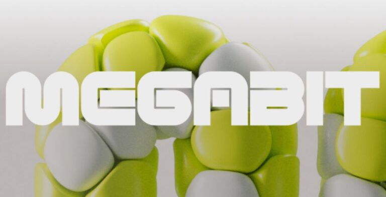 Megabit