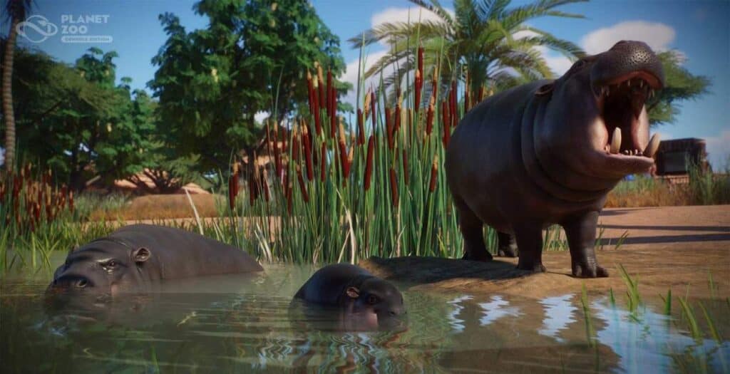 Planet Zoo Console Edition