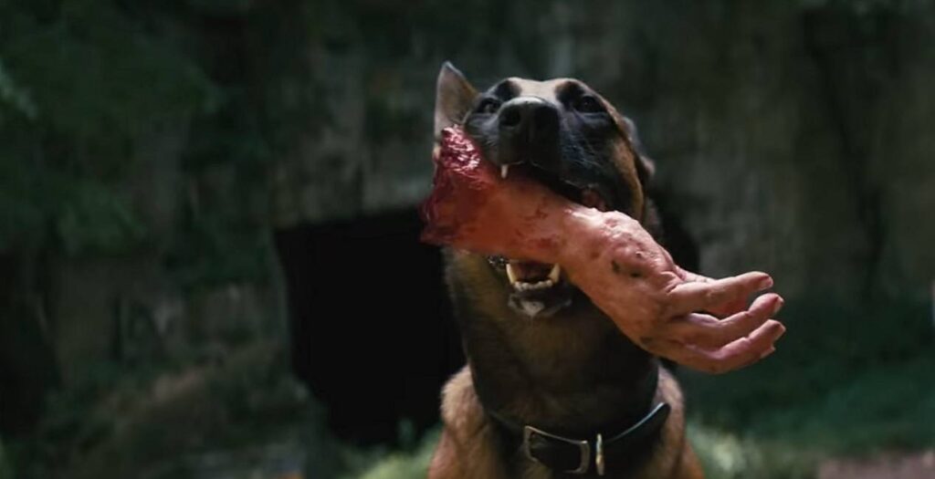 The dog in in Amazons Fallout TV Show
