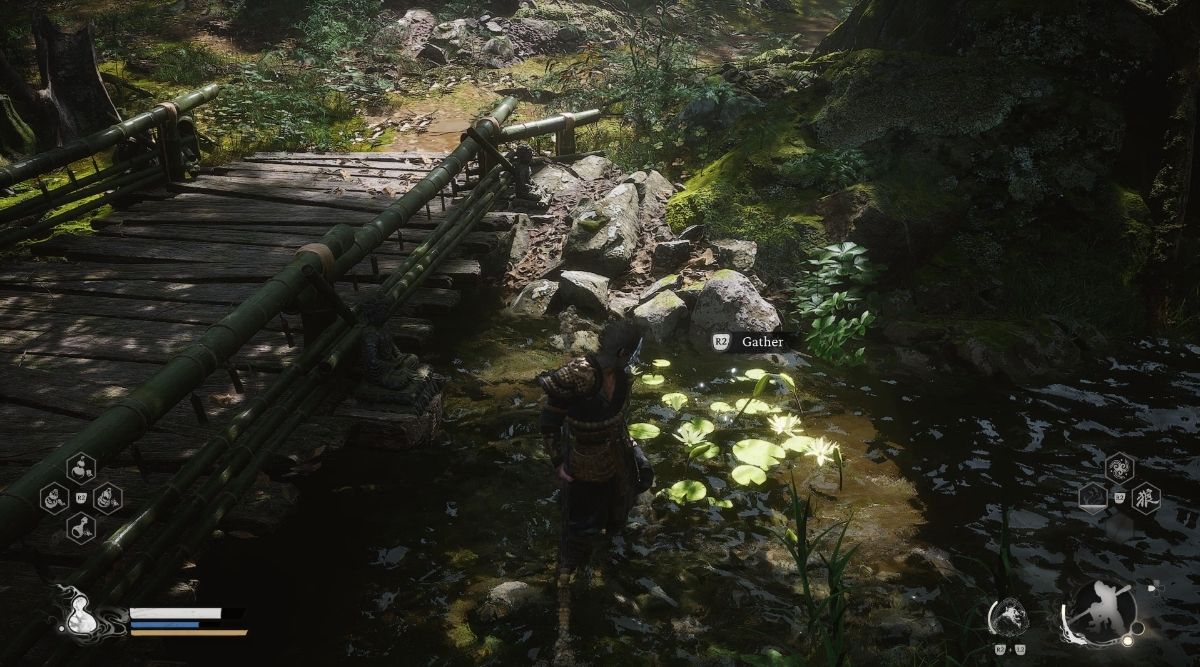 Black Myth: Wukong Collecting