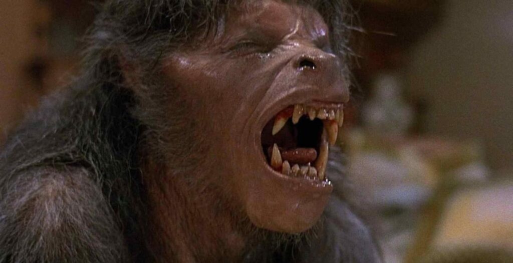 Body Horror Movies