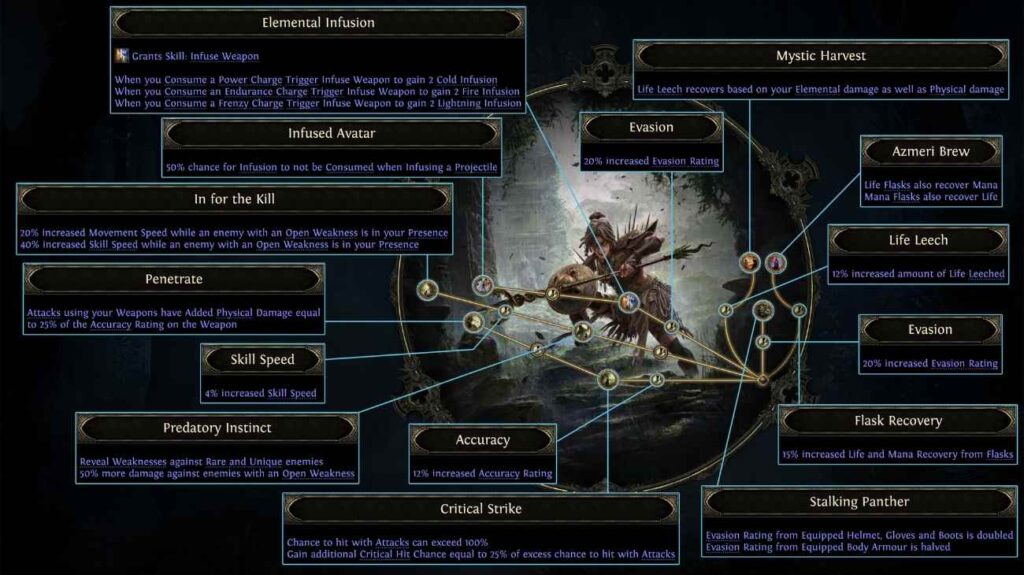 POE 2 Ascendancy Class breakdown for Amazon