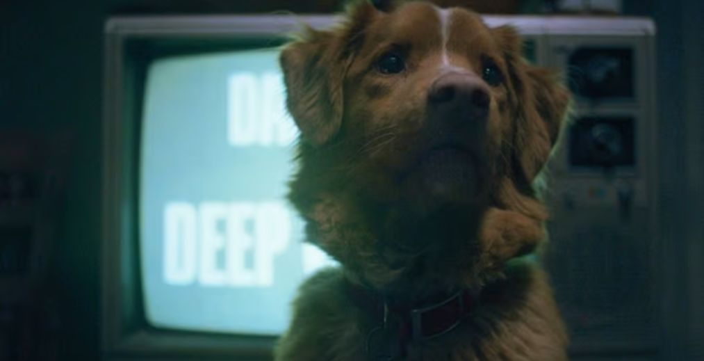 Best Movies of SXSW - Good Boy