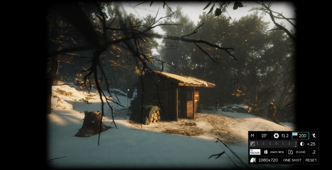 Lushfoil Photography Sim gameplay screenshot
